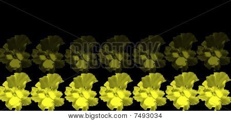 Blomster grænse