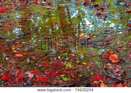 Hiking And Nature Trails