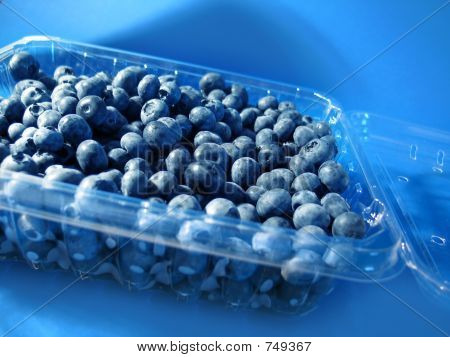 Heidelbeeren im Container
