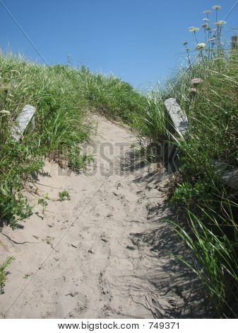 caminho da praia