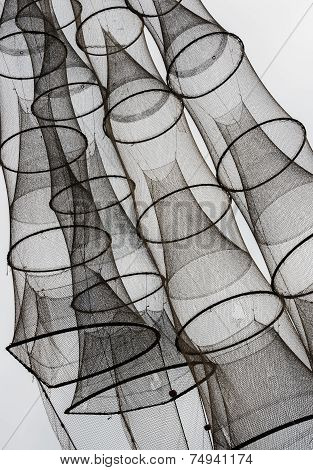Fish Nets