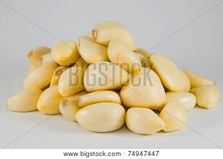 Garlic