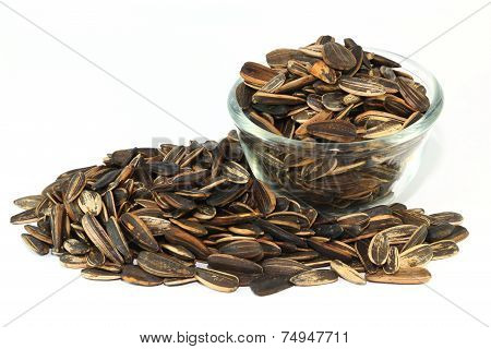 Sunflower Seeds