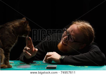 Poker With Cat