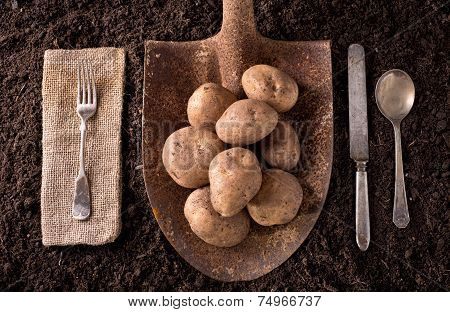 Potatoes