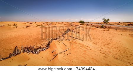 Desert Tunisia