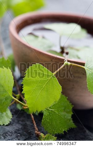 Natural spa with fresh birch leaves