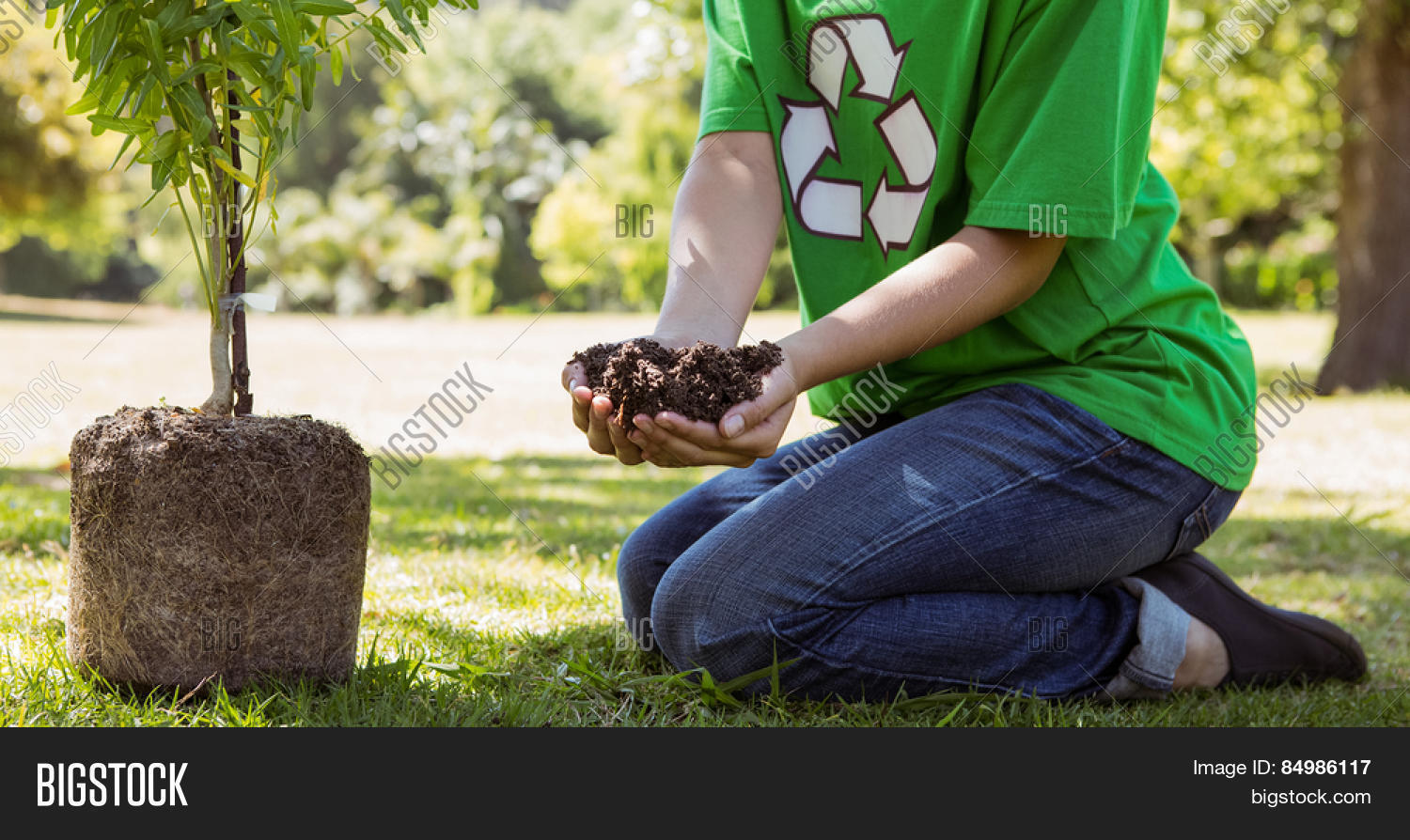 Красивое дерево. Offering tree. Offering tree. Густые деревья. Разветвленное дерево.