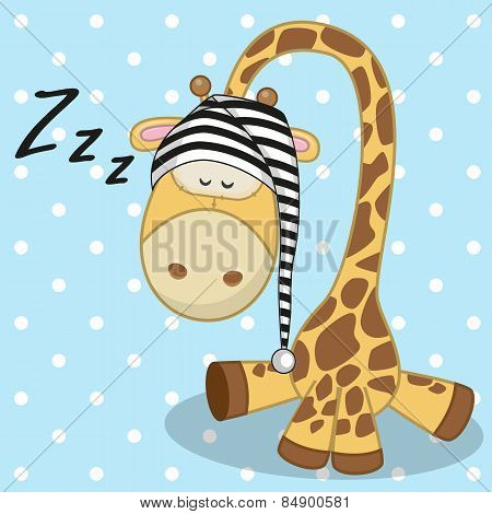 Sleeping Giraffe