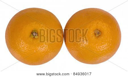 Close-up of oranges