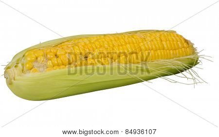 Close-up of a corn cob