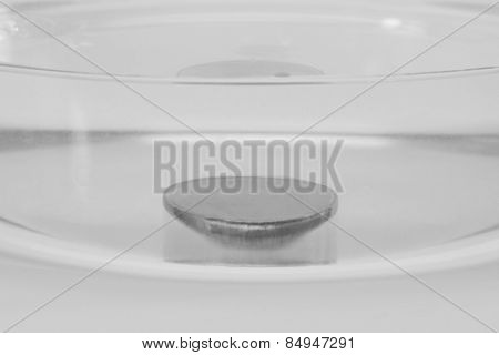 Close-up of a mercury sunk in a bowl of water