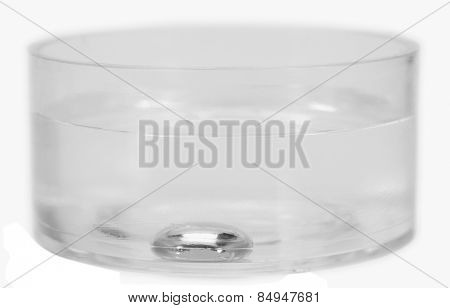 Close-up of a mercury sunk in a bowl of water