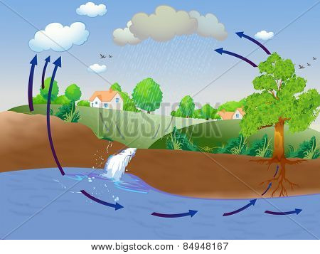 Illustration showing water cycle