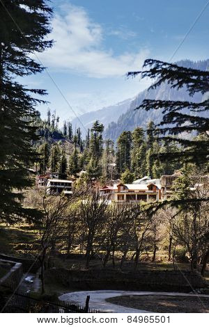Buildings in a town, Manali, Himachal Pradesh, India