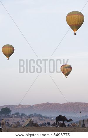 Hot air balloons over Pushkar Camel Fair ground, Pushkar, Ajmer, Rajasthan, India