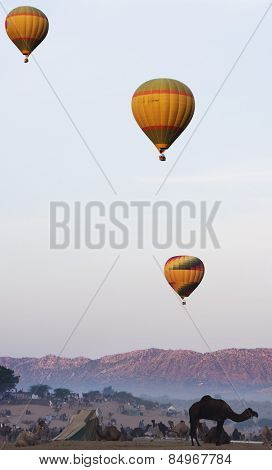 Hot air balloons over Pushkar Camel Fair ground, Pushkar, Ajmer, Rajasthan, India