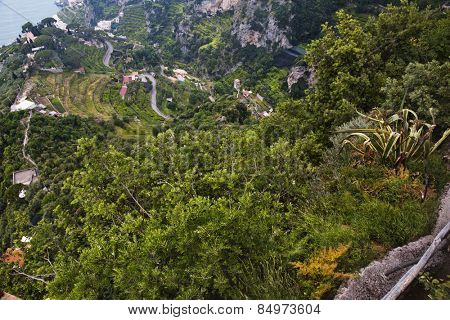 Trees on a hill, Villa Cimbrone, Ravello, Province of Salerno, Campania, Italy