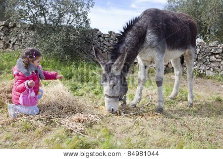 Toddler And Donkey