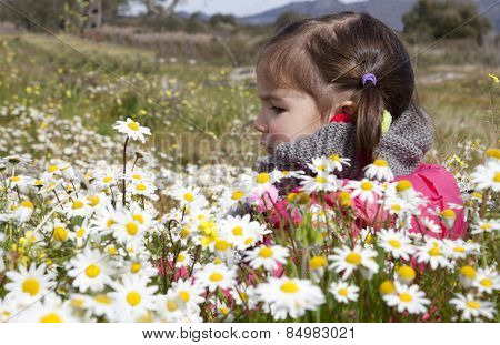 Toddler Girl Sitting In The Daisy Field