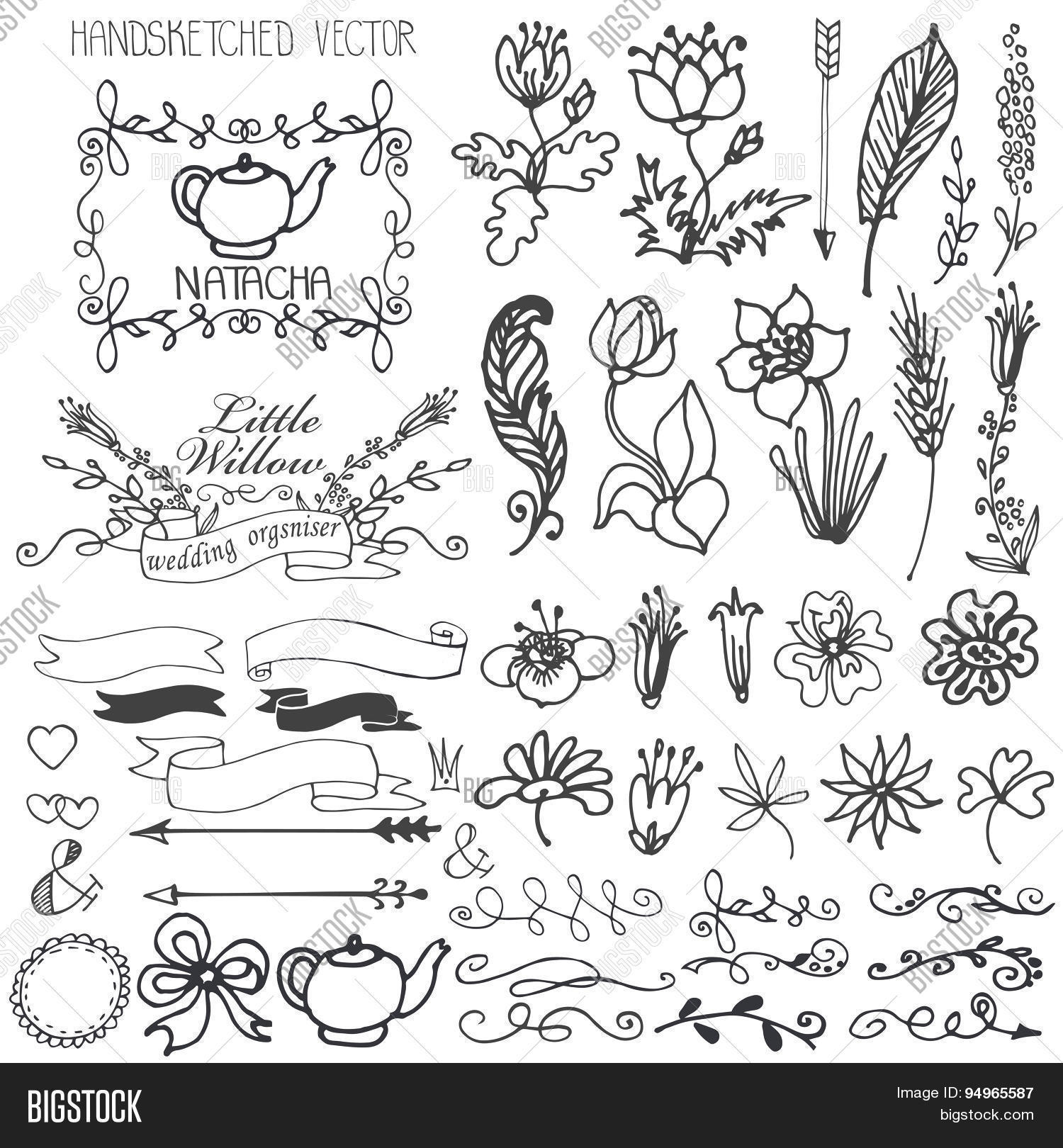 Doodle Swirls Ribbons Vector Photo Free Trial Stock Doodles Flowers Brunshes Swirl Border And Arrows Ribbons With Decor Elements Set For Hand Scetced Logo Design Templates Invitations Logtype Vector