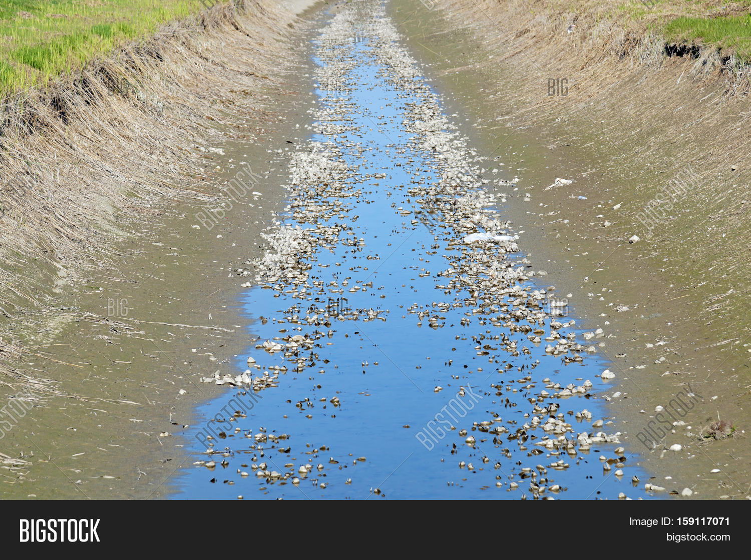 Пустая речка. Нампи река. Река пусто 2. Потомак река википедия. Река пусто 2.