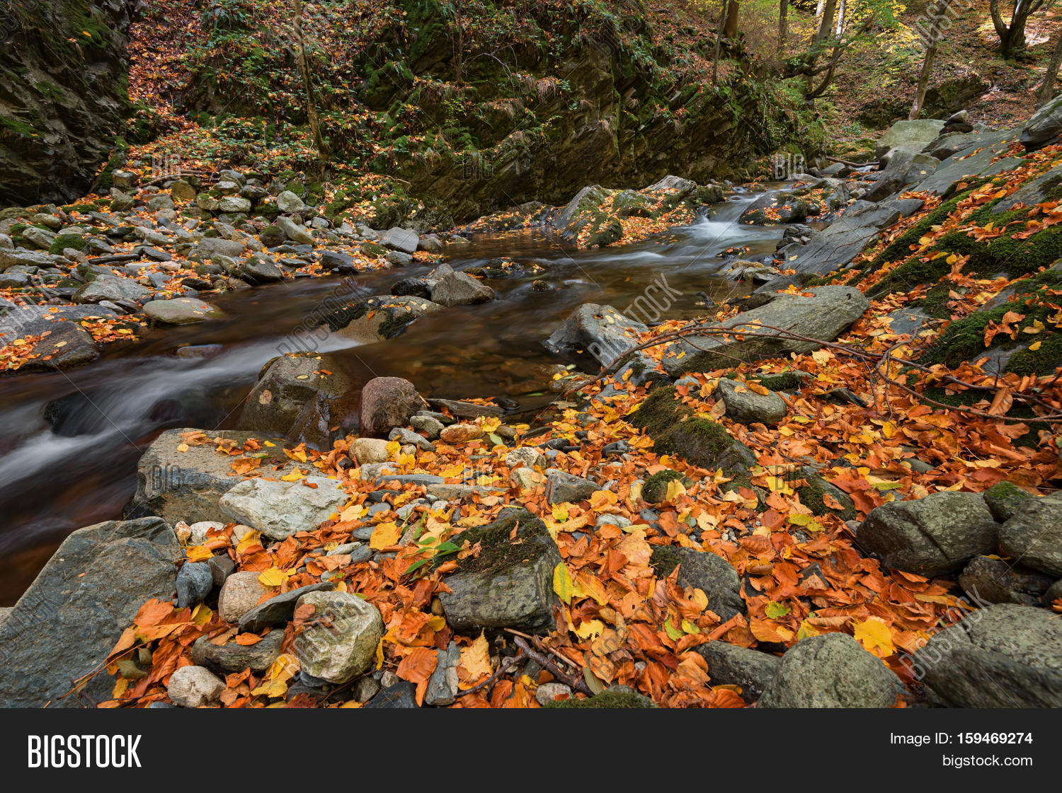 Stara Reka Reserve Image & Photo (Free Trial) | Bigstock