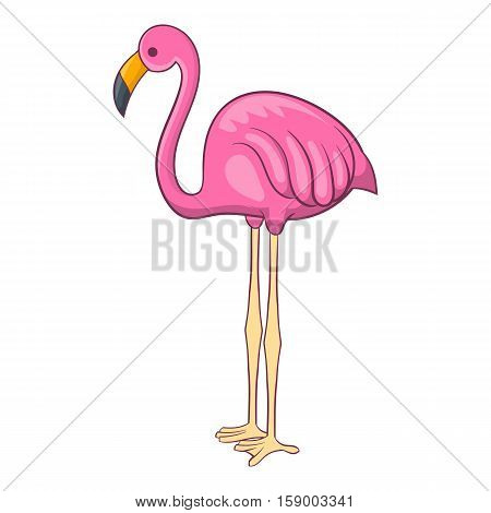 Flamingo icon. Cartoon illustration of flamingo vector icon for web