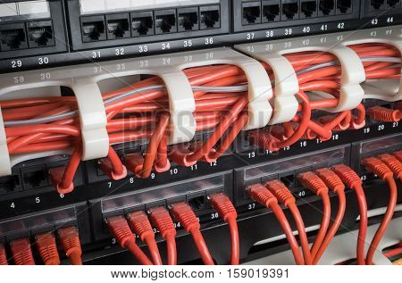 Server rack with red internet patch cord cables connected to patch panel in server room