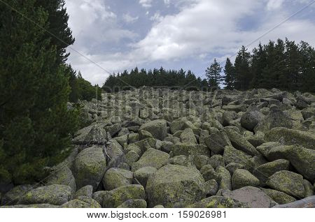 Unique stone river with big granite stones or moraine in the Vitosha National Park Mountain , Bulgaria