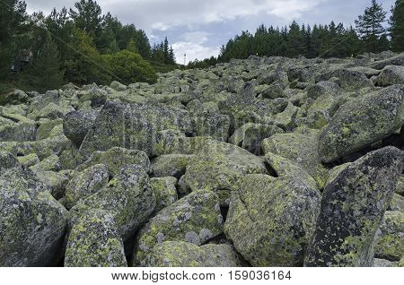 Unique stone river with big granite stones or moraine in the Vitosha National Park Mountain , Bulgaria