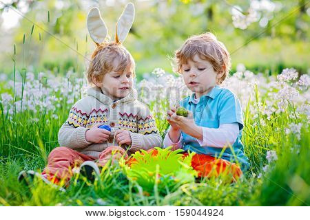 Two little kids boys and friends in Easter bunny ears during traditional egg hunt in spring garden, outdoors. Siblings having fun with finding colorful eggs. Old christian and catholoc tradition