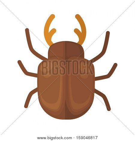 cockchafer. Icon of bright small insect with antenna. Cartoon vector illustration in flat style isolated on white background.