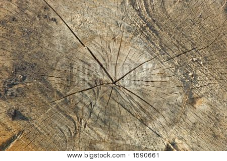 Dettaglio di legno