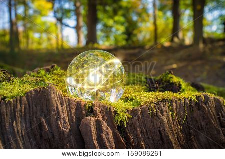 Magic crystal ball atom on tree stump moss for autumn fantasy imagery