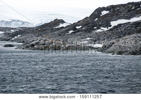 Antarctica in a cloudy day- Antarctic Peninsula - Palmer Archipelago - Neumayer Channel - Global warming - Fairytale landscape