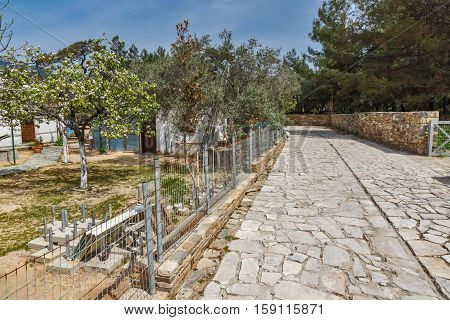 Street in  village of Aliki,Thassos island,  East Macedonia and Thrace, Greece