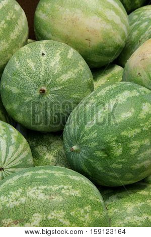 Fresh, whole watermelons set together at local farmers market.