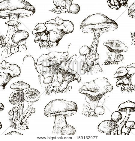 Hand-drawn seamless pattern of the different mushrooms. Repeated natural background with mushrooms. vector illustration for your design.