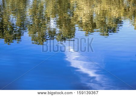 Abstract trees reflection on calm water surface, scenic forest view with a lot of spce for text.