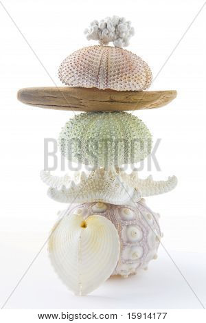 Seashell Kulesi