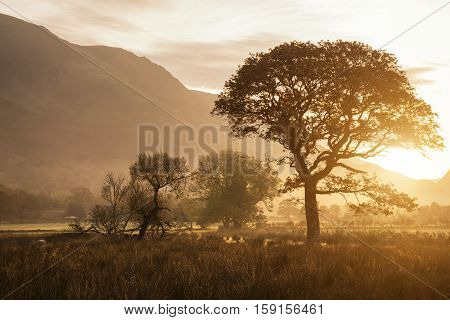 Beautiful Foggy Misty Autumn Sunrise Over Countryside Surrounding Crummock Water In Lake District In