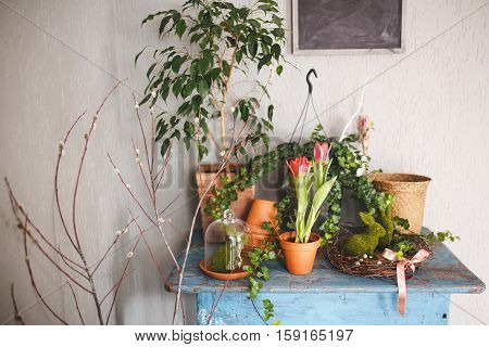 Fresh flowers are arranged on a blue table