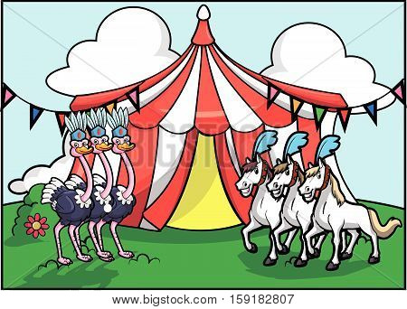 Ostritch and White horse circus attraction festival