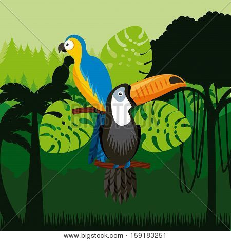 toucan and macaw birds over jungle background. colorful design. vector illustration