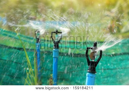 closeup of water sprinkler irrigation of agricultural field closeup of head water sprinkler