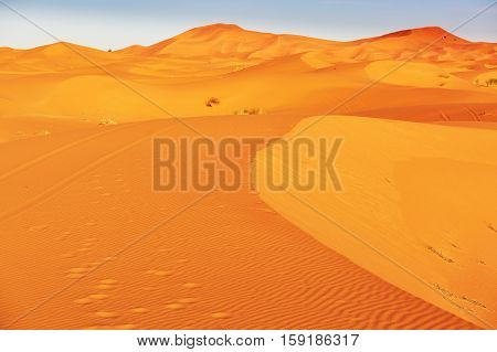 Sand Dunes In The Sahara Desert