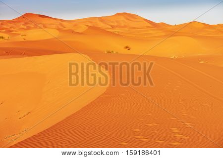 Sand Dunes In The Sahara Desert