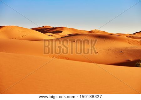 Sand Dunes In The Sahara Desert