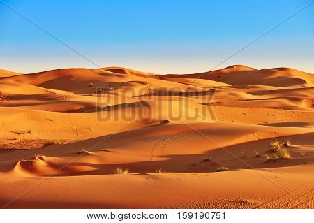 Sand Dunes In The Sahara Desert
